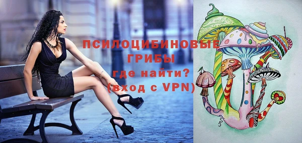 сатива Алзамай