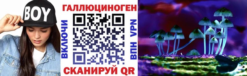 Купить где  Заринск  Псилоцибиновые грибы Cubensis 
